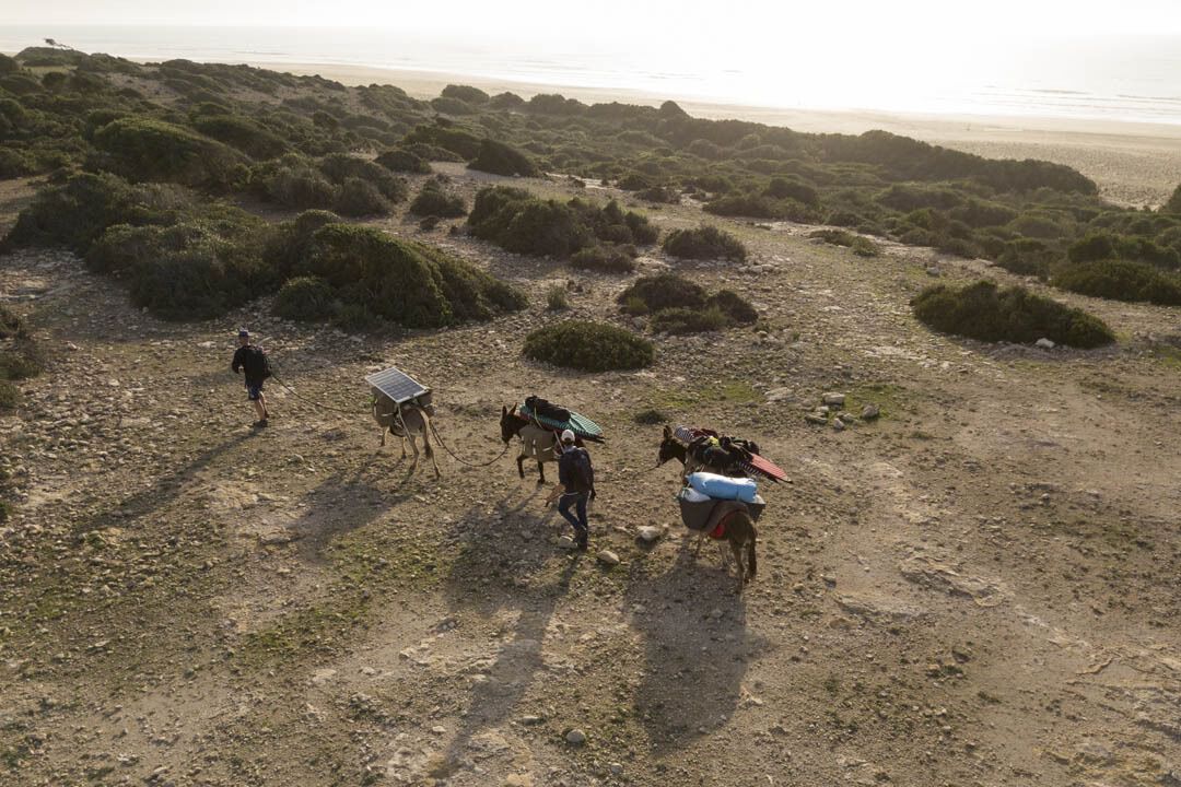 Surfer and donkeys during a trekking in moroco