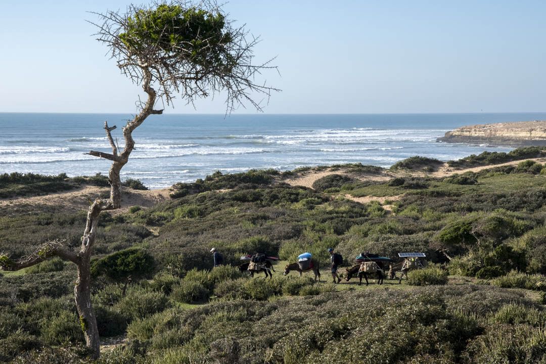Trekking avec ânes marocain